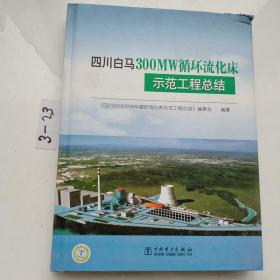 四川白马300MW循环流化床示范工程总结