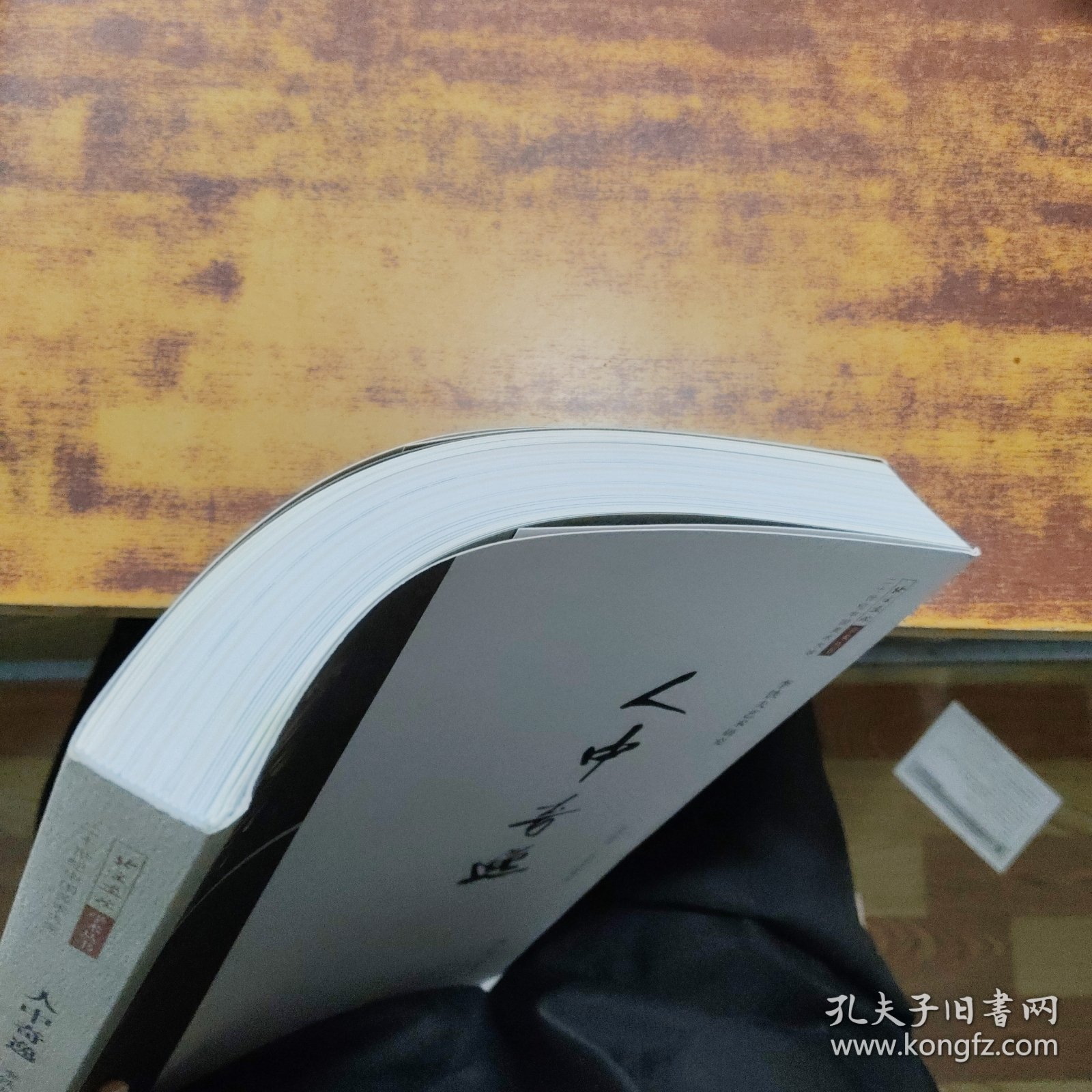 人中奇逸（李铁夫艺术研究）/北京画院学术丛书