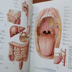 人体解剖彩色图谱(第3版/配增值）