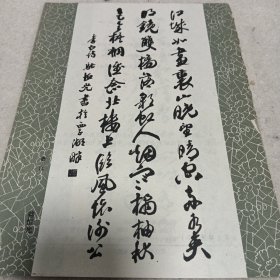 名家书法精选（活页40页无封套）