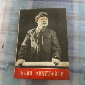 毛主席又一次接见百万革命小将
