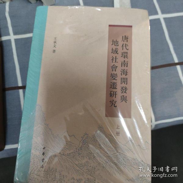 唐代环南海开发与地域社会变迁研究（全2册）