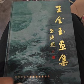 王金玉画集