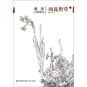唯美白描精選·閑花野草（二）