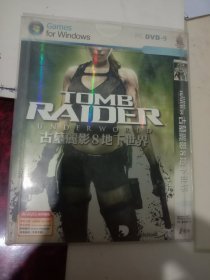 古墓丽影8地下世界