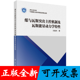 煤与瓦斯突出主控机制及瓦斯能量动力学特性
