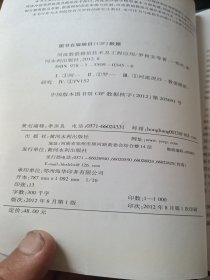 河流数值模拟技术及工程应用