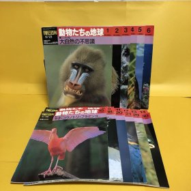 日文 動物たちの地球　　３９冊