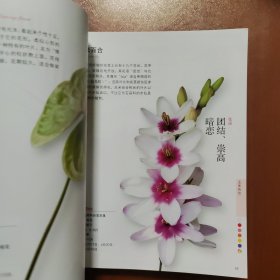 花颜花语