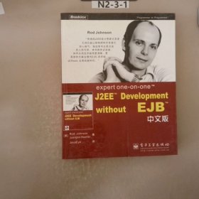 expert one-on-one J2EE Development without EJB 中文版