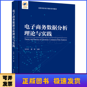 电子商务数据分析理论与实践