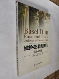 金融危机中的巴塞尔新资本协议：挑战与改进，九五如新，包邮