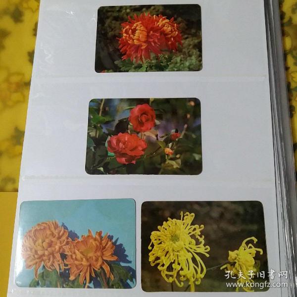 1975年年历卡4张一套，花卉系列。