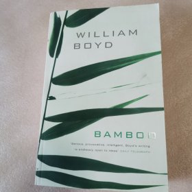 BAMBOO（封面封底小脏）