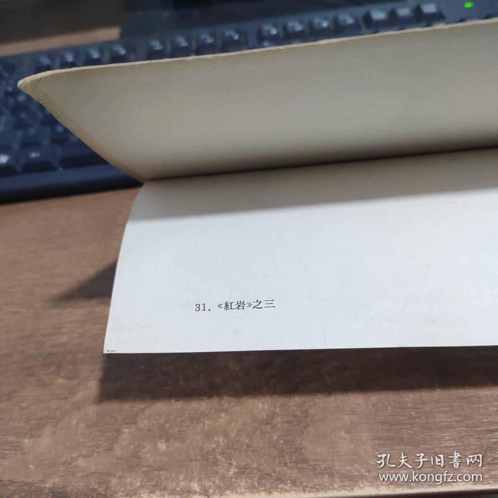 画稿（红岩之三）