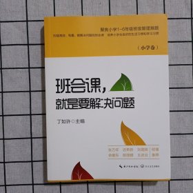 班会课，就是要解决问题（小学卷）（大教育书系）