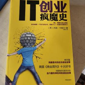 IT创业疯魔史