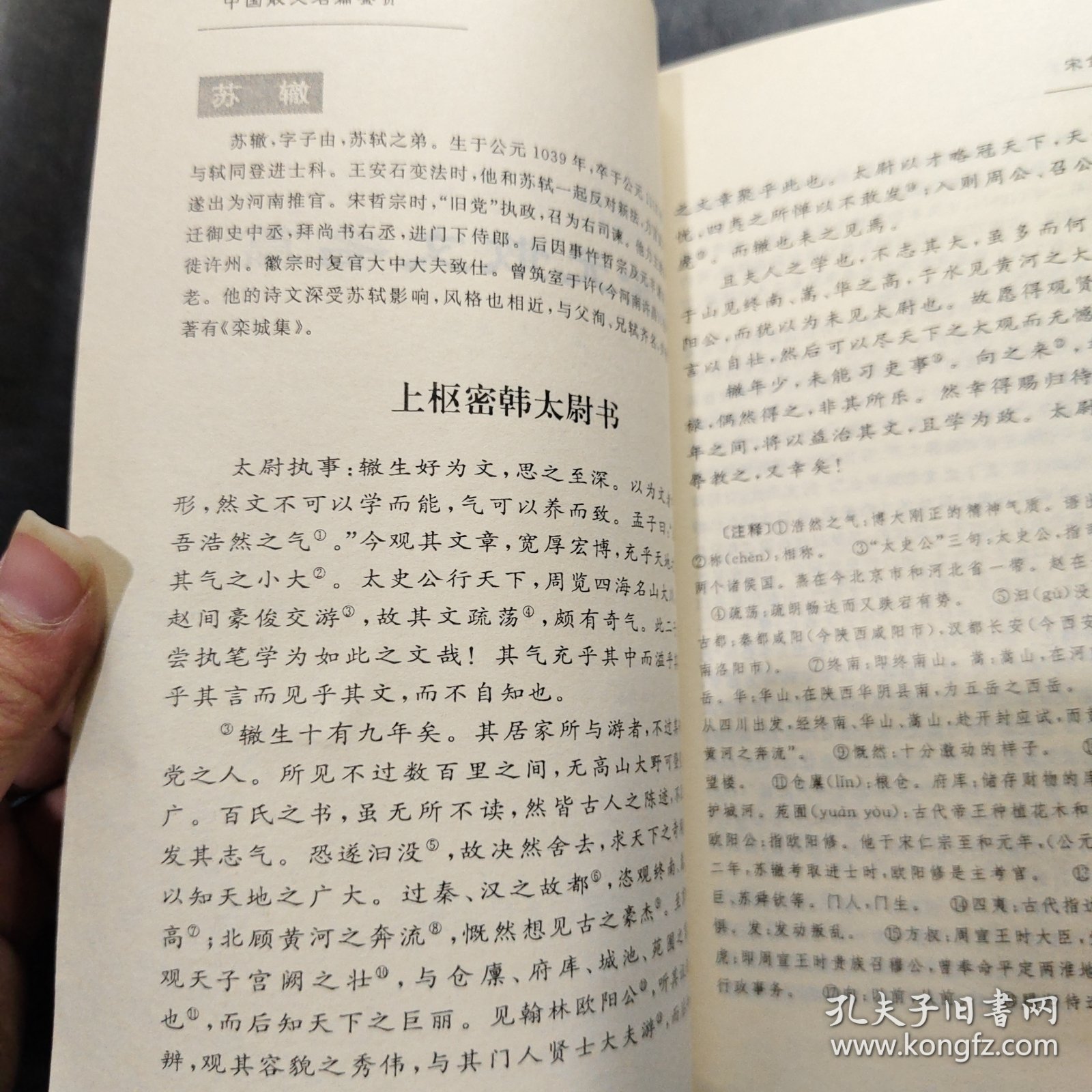 中国散文名篇鉴赏.第三卷