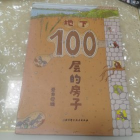 地下100层的房子