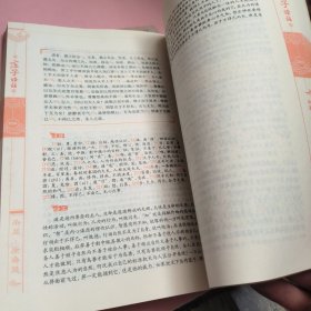 庄子译注