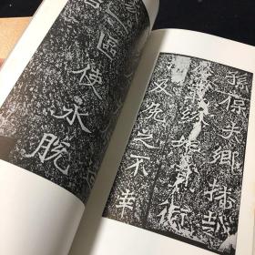 二玄社 书迹名品丛刊 北魏 龙门十二品（上）