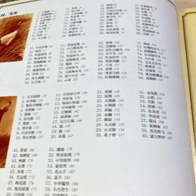 中国珍稀野生动物手绘图谱