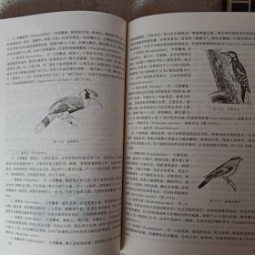 鸟类学：Ornithology