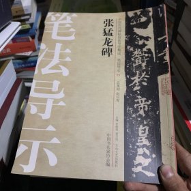 中国历代碑帖技法导学集成·笔法导示（15）：张猛龙碑