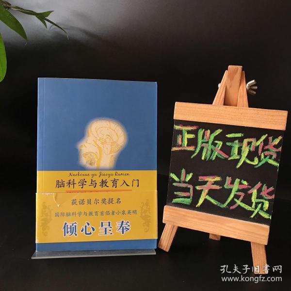 脑科学与教育入门