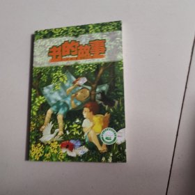 名家名译文学馆：书的故事