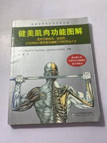 健美肌肉功能图解