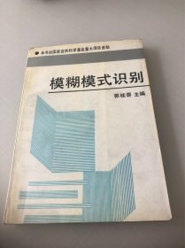 模糊模式识别