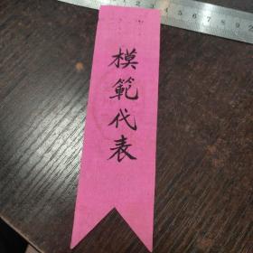 武汉市人民政府卫生局模范代表胸标