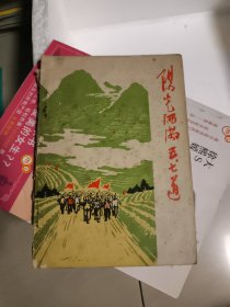 阳光洒满五七道