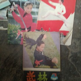 80年代武林武术杂志3本合售如图