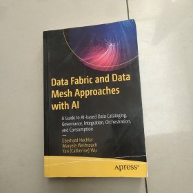 Data Fabric and Data Mesh Approaches with AI人工智能的数据结构和数据网格方法 （平装没勾画）