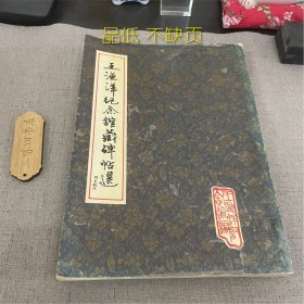 王渔洋纪念馆藏碑帖选（品低 不缺页）1992