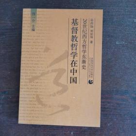 20世纪西方哲学东渐史：基督教哲学在中国