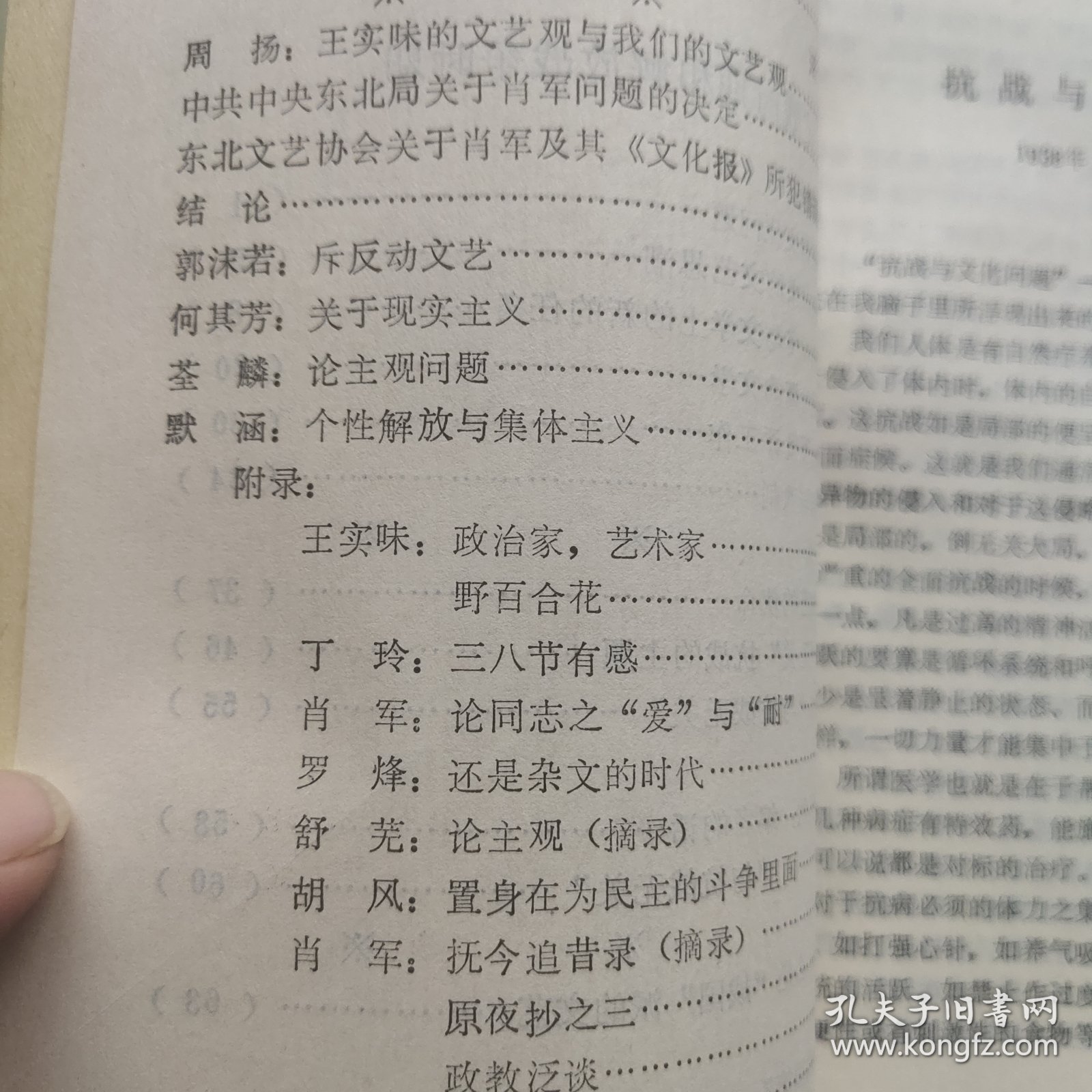骂人的艺术：中国现代文学史参考资料 新月派文学作品专辑