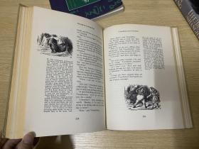 The Annotated Alice:Alice‘s Adventures in WonderLand，Through the looking glass   刘易斯·卡罗尔《爱丽丝漫游奇境记》《爱丽丝镜中奇遇记》集注，著名插画家John Tenniel插图， 精装大16开，重超1公斤，1960年老版书