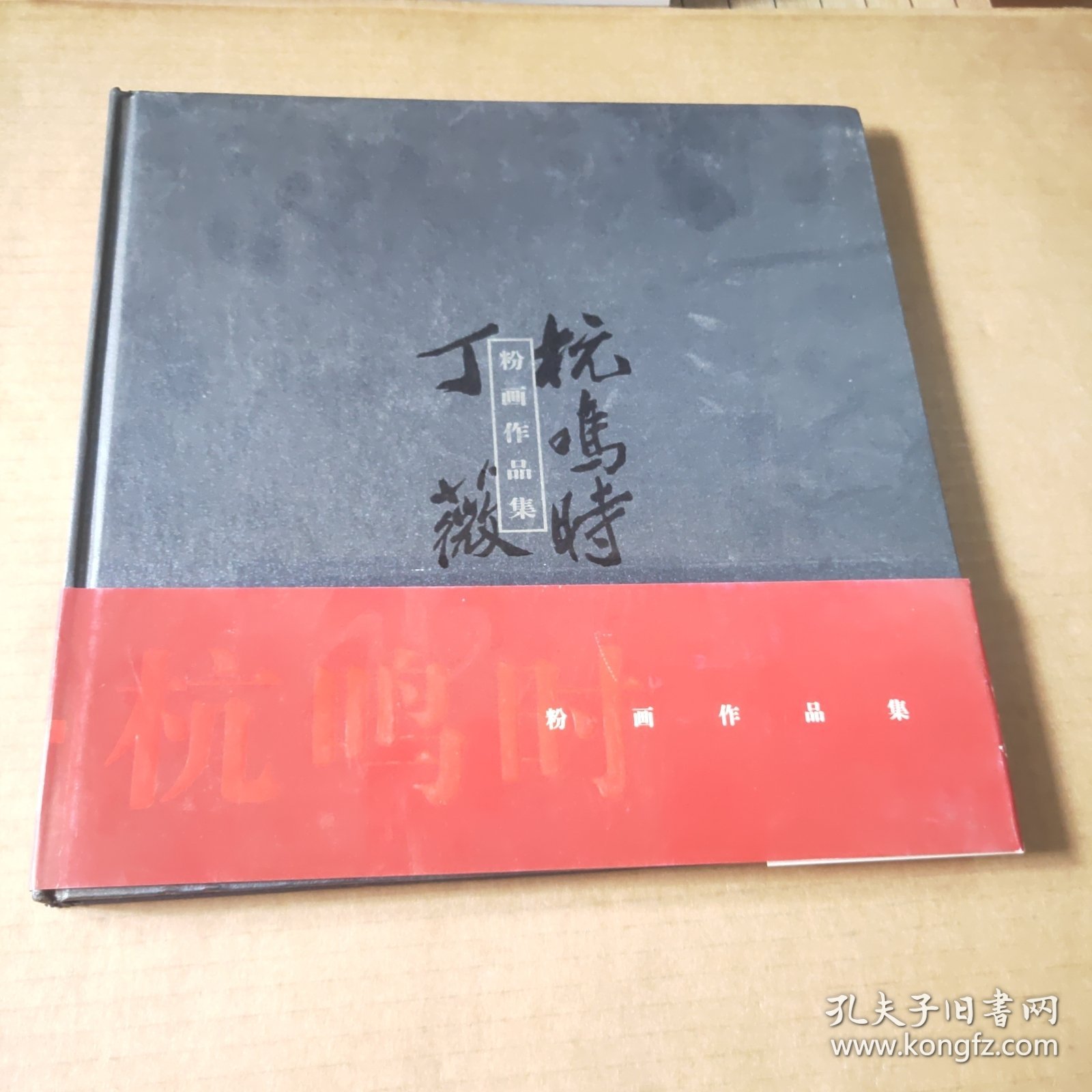 杭鸣时丁薇粉画作品集