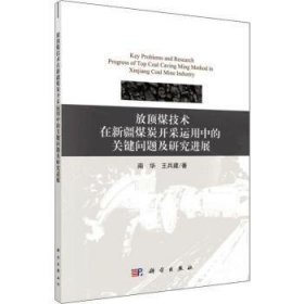 放顶煤技术在新疆煤炭开采运用中的关键问题及研究进展