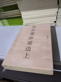 站在黄沙梁边上