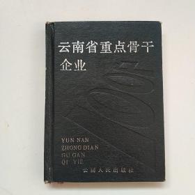 云南省重点骨干企业100户