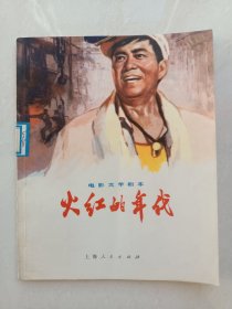 电影文学剧本（火红的年代）16幅插图，一版一印！