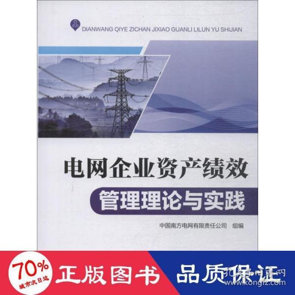 电网企业资产绩效管理理论与实践