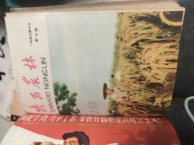 陕西农讯 1958 年 1-3期，陕西农林 1958年1-9期，合订本