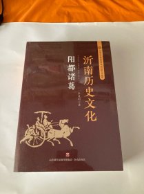 沂南历史文化：阳都诸葛