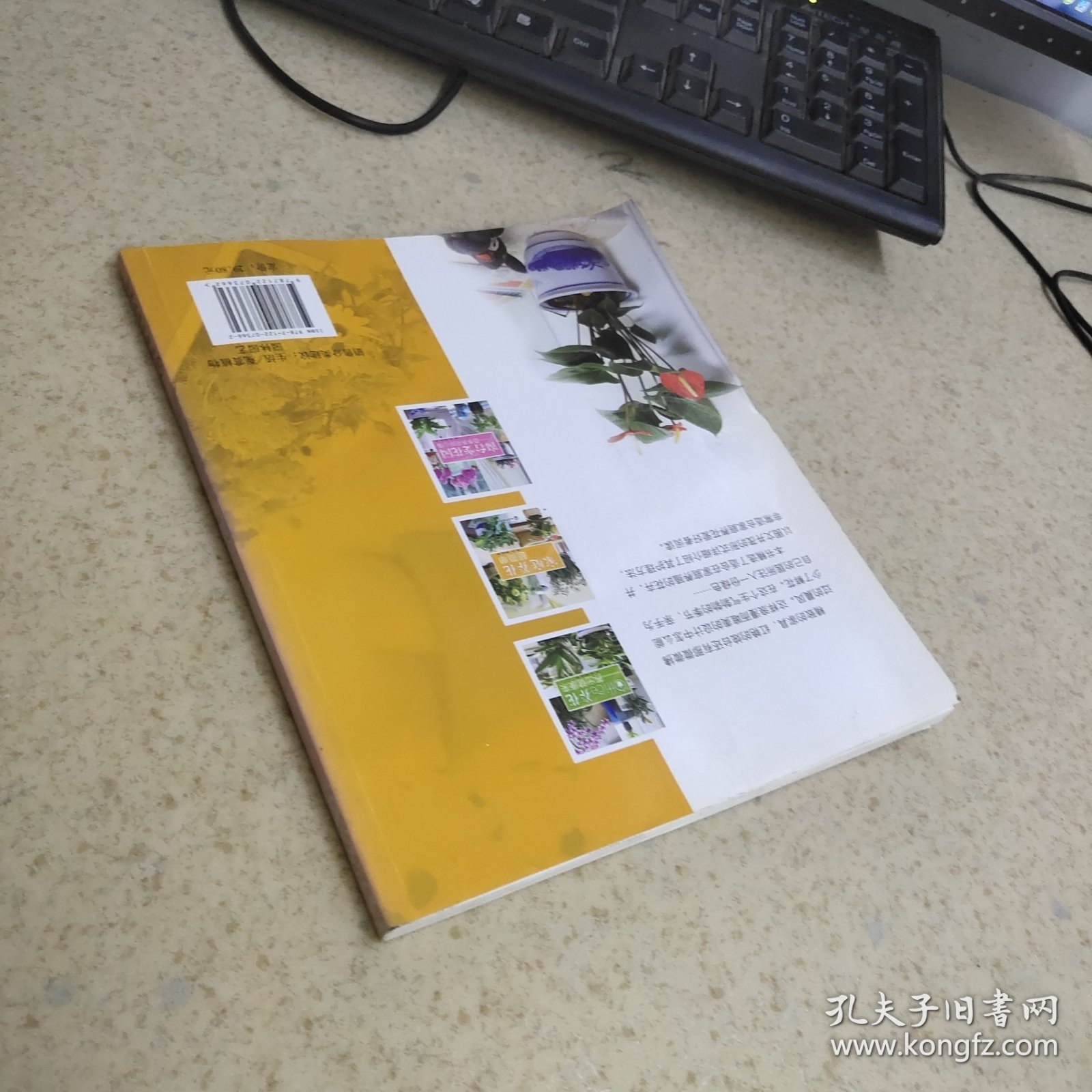 家庭养花超简单