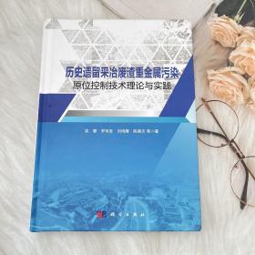 历史遗留采冶废渣重金属污染原位控制技术理论与实践